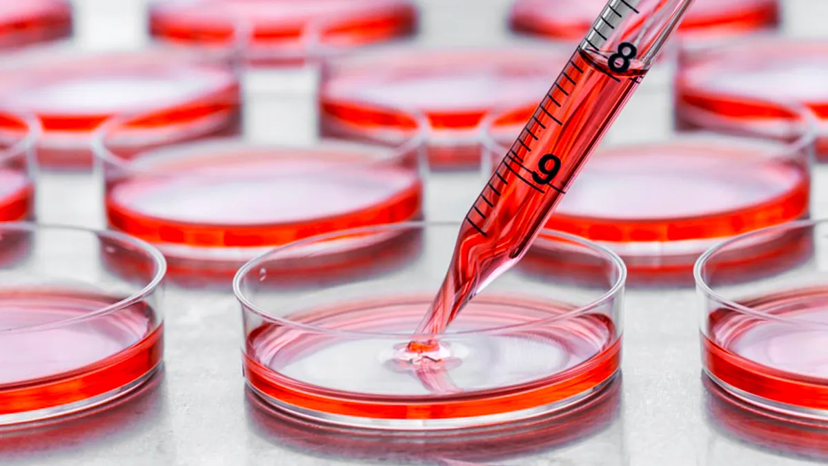 O que são meios de cultura e porque sua empresa deve terceirizar esse preparo.