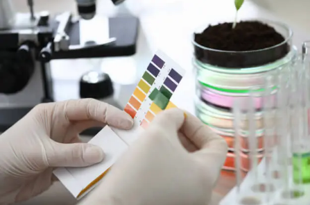 A Importância do pH em Processos Industriais e Como Controlá-lo Corretamente