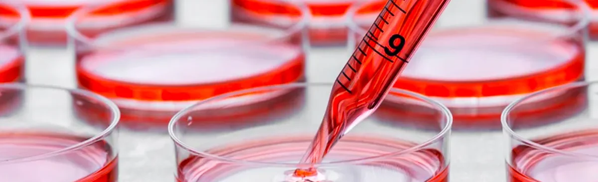 472-Meios-de-cultura-de-microrganismos