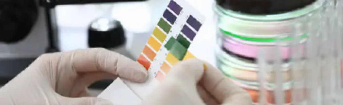 Captura de tela 2026-02-18 153348