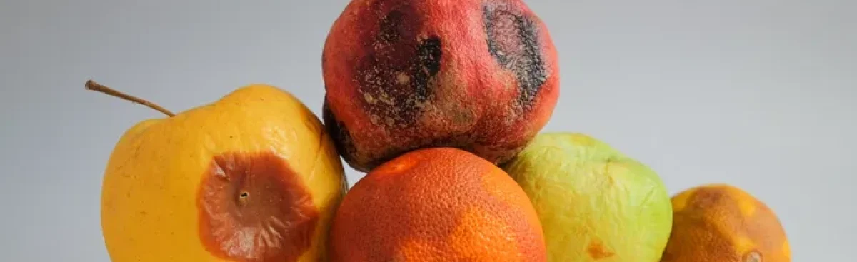 como-identificar-alimentos-estragados_22594